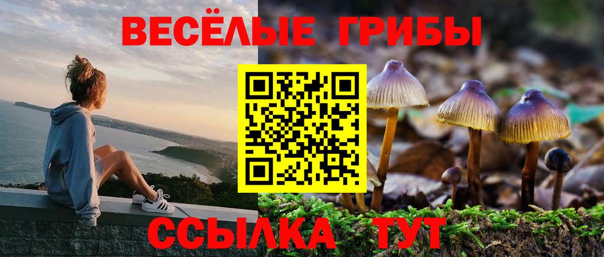 Псилоцибиновые грибы Magic Shrooms Саров
